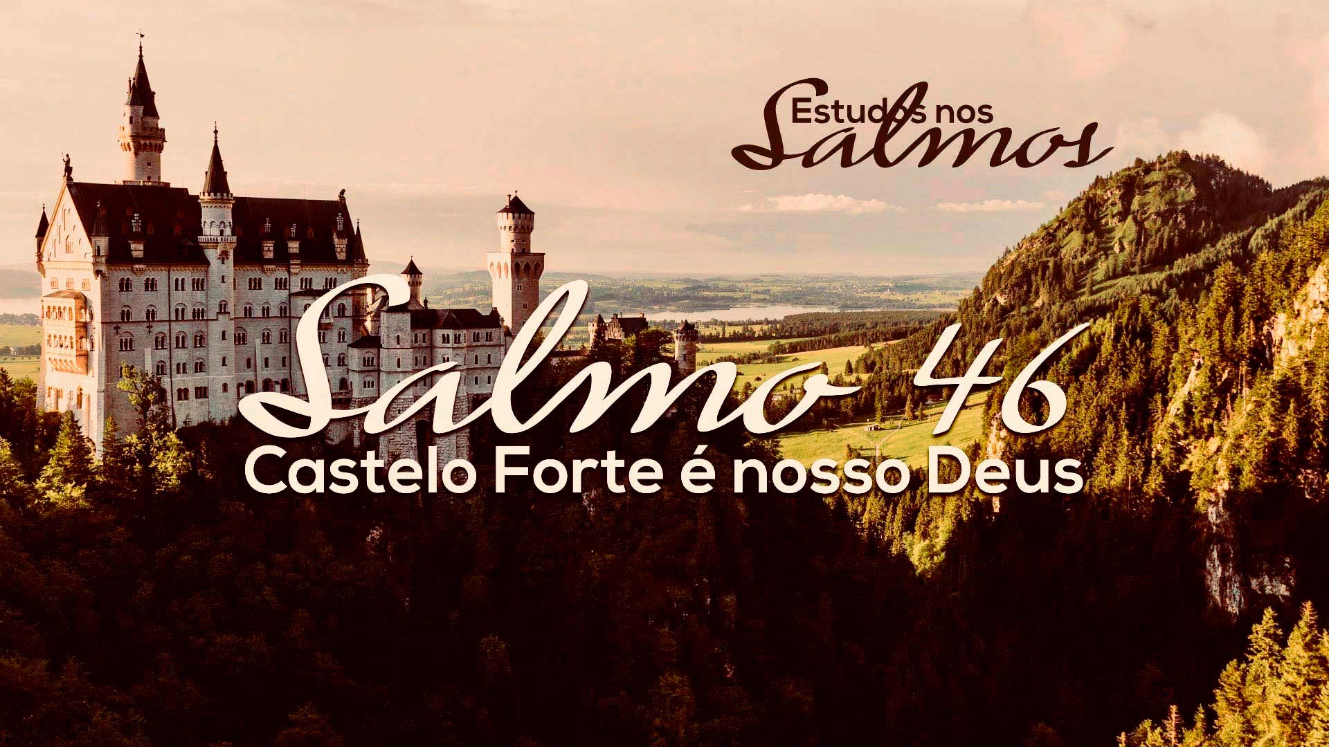 Sobre Nós  Projeto Castelo Forte