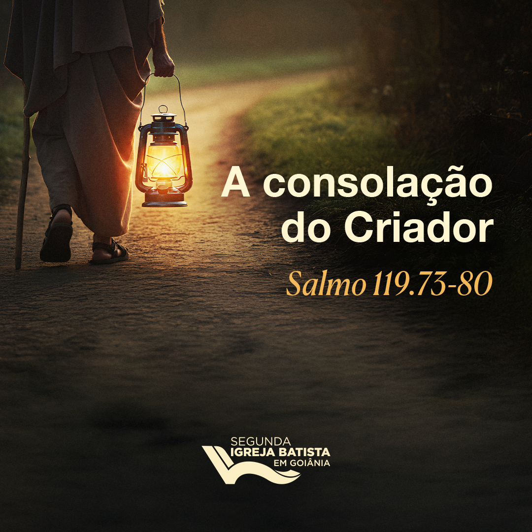 A consolação do Criador